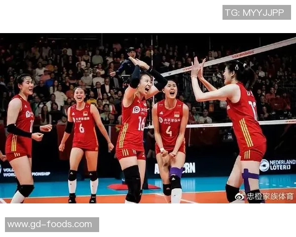 赛后分析：北京排球队与上海排球队的默契配合与战术探讨