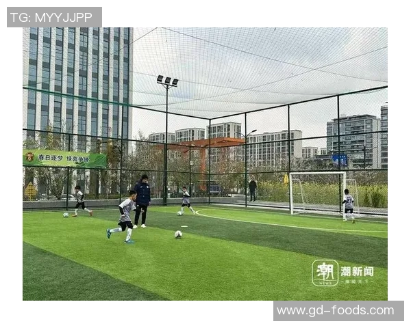 赛后分析：杭州足球队与成都足球队的速度对决及其影响因素探讨