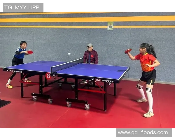 赵芳独家分享乒乓球技巧与心得助你提升球技的秘诀与经验