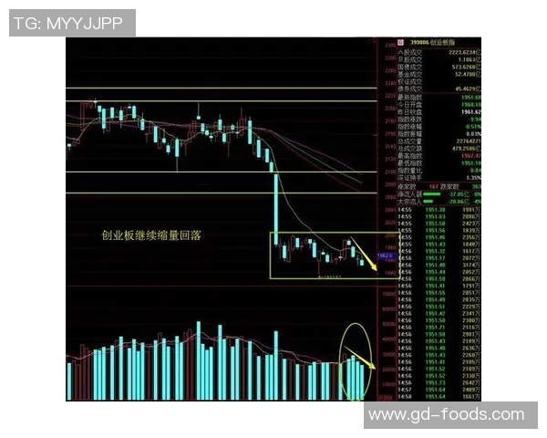 重庆篮球队与上海篮球队赛后复盘分析比赛节奏与战术对决