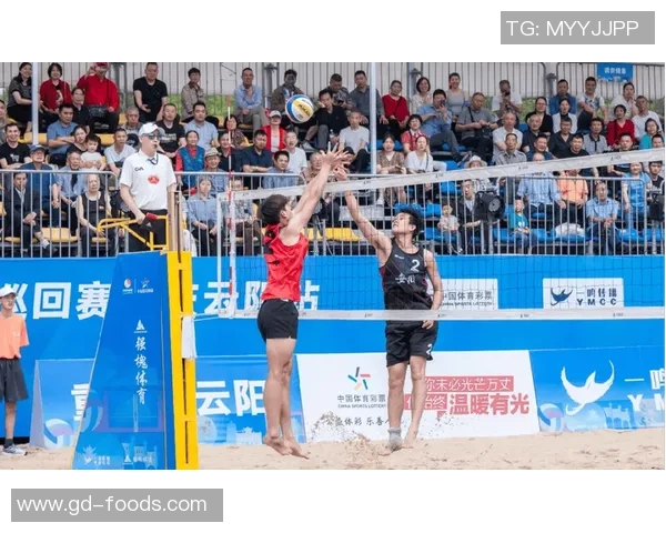 重庆排球队的拼搏之路与荣耀时刻的精彩回顾