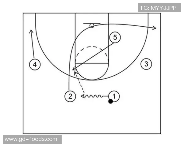 重庆篮球队在锦标赛中的战术分析与表现评估探讨