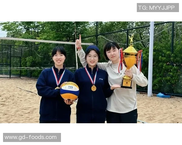 重庆排球队总决赛逆袭之旅揭秘团结与拼搏的力量