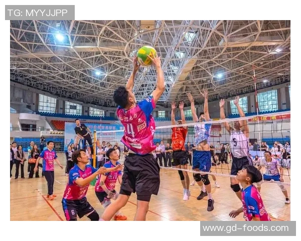 重庆排球队挑战赛精彩配合点评展现团队默契与实力