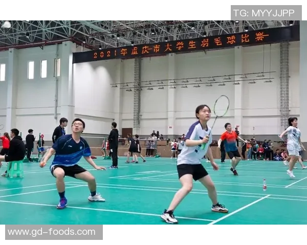 重庆羽毛球队区域防守分析及其在比赛中的成效与不足之处探讨