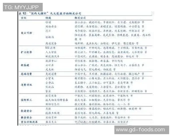 重庆网球队在全国锦标赛中的技术表现分析与点评探讨