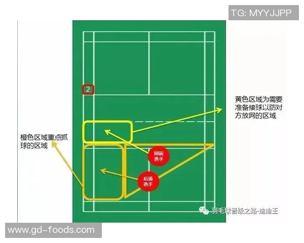 重庆羽毛球队整体压制战术解析与实战应用探讨