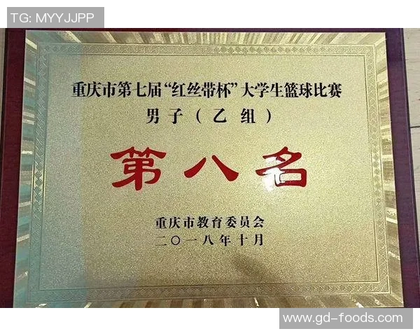 重庆篮球队运营新策略解析与未来发展展望