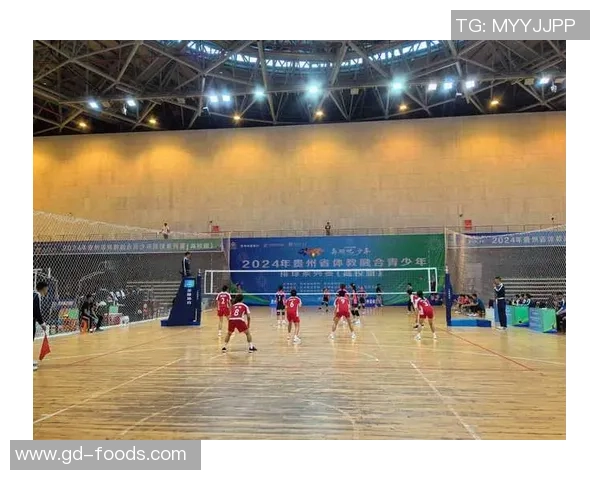 陈敏专访：探寻排球辉煌背后的成功秘诀与心路历程