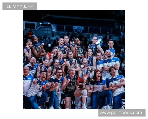 杭州排球队在总决赛中的精彩表现与力量分析