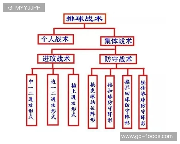 武汉排球队的控制革新探索与实践:重塑团队战术与协作新模式 武汉排球队的控制革新探索与实践:重塑团队战术与协作新模式
