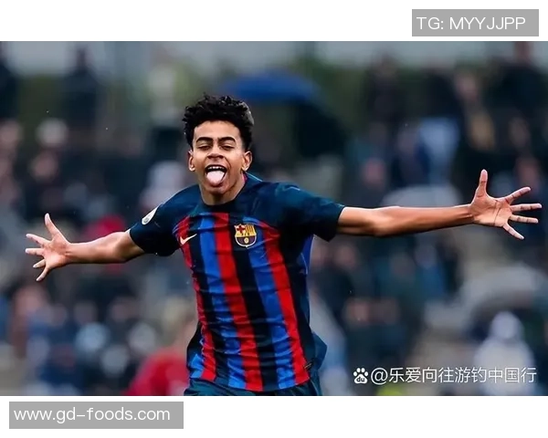 国外足球明星对中国足球发展的影响与启示