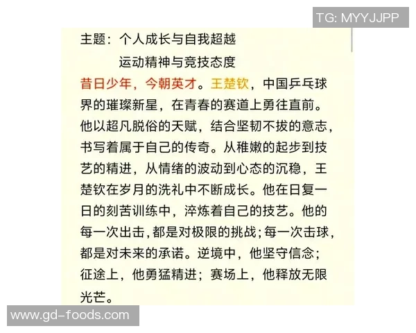 王强的乒乓球人生探索与深度对话揭示运动背后的故事与哲学