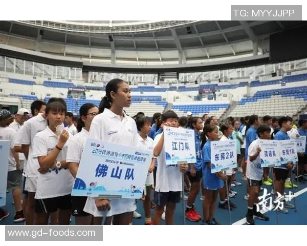 赛后分析：广州网球队与北京网球队实力对比与战术探讨